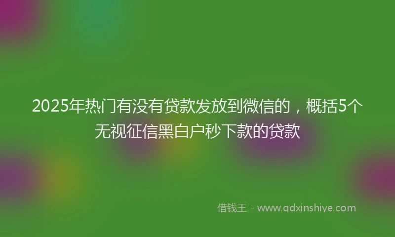 2025年热门有没有贷款发放到微信的，概括5个无视征信黑白户秒下款的贷款