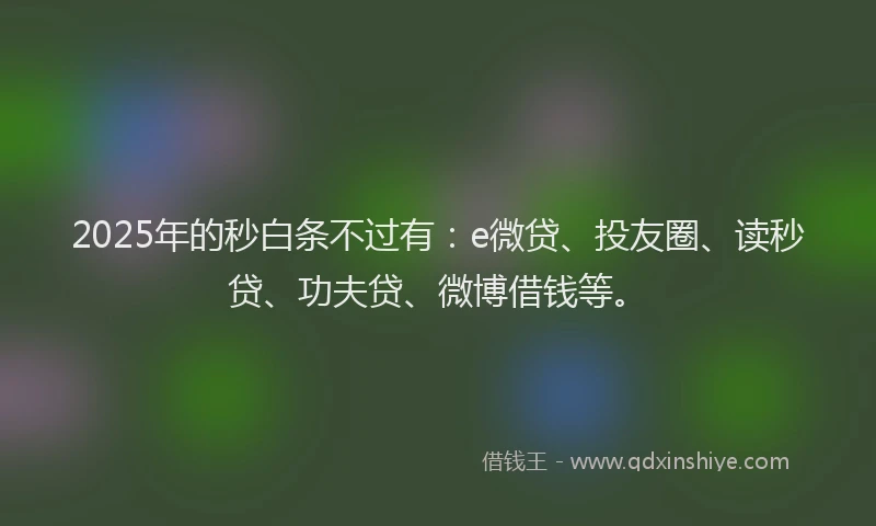 2025年的秒白条不过有：e微贷、投友圈、读秒贷、功夫贷、微博借钱等。