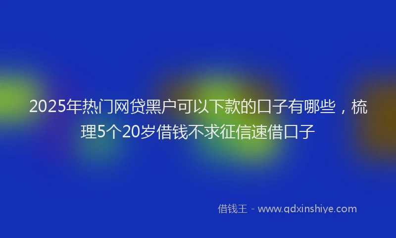 2025年热门网贷黑户可以下款的口子有哪些，梳理5个20岁借钱不求征信速借口子