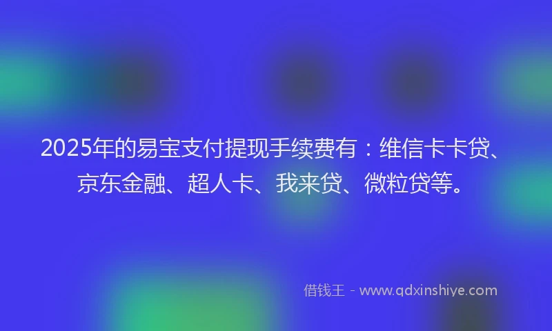 2025年的易宝支付提现手续费有：维信卡卡贷、京东金融、超人卡、我来贷、微粒贷等。