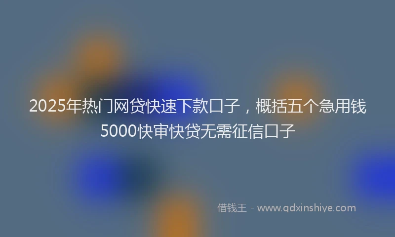 2025年热门网贷快速下款口子，概括五个急用钱5000快审快贷无需征信口子