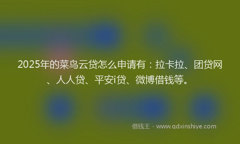 2025年的菜鸟云贷怎么申请有：拉卡拉、团贷网、人人贷、平安i贷、微博借钱等。