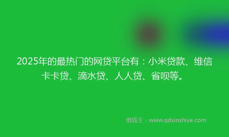 2025年的最热门的网贷平台有：小米贷款、维信卡卡贷、滴水贷、人人贷、省呗等。