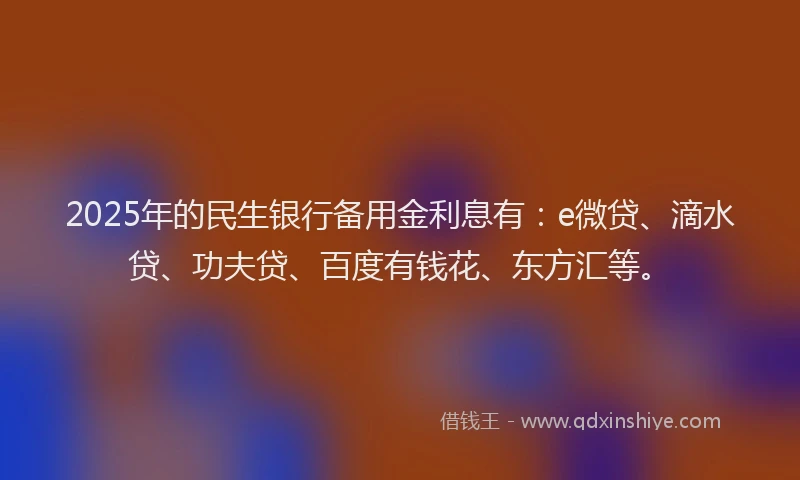 2025年的民生银行备用金利息有：e微贷、滴水贷、功夫贷、百度有钱花、东方汇等。
