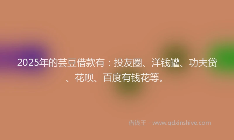 2025年的芸豆借款有：投友圈、洋钱罐、功夫贷、花呗、百度有钱花等。