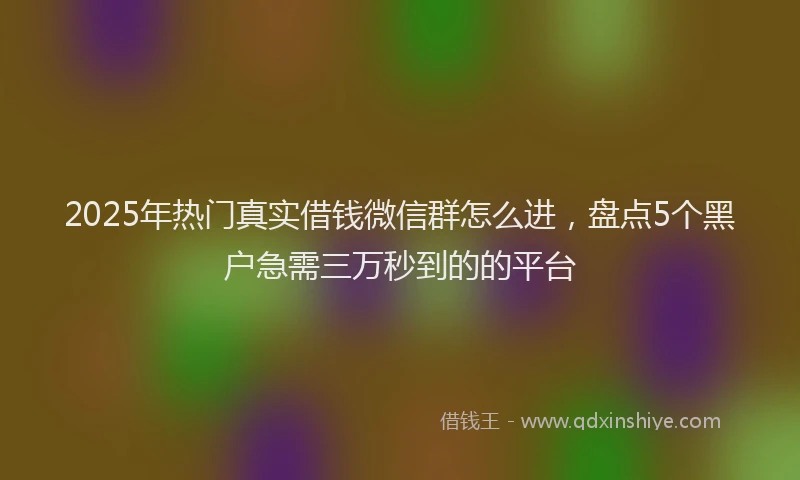2025年热门真实借钱微信群怎么进，盘点5个黑户急需三万秒到的的平台