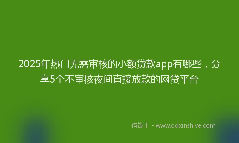 2025年热门无需审核的小额贷款app有哪些，分享5个不审核夜间直接放款的网贷平台