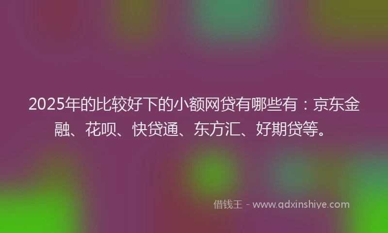 2025年的比较好下的小额网贷有哪些有：京东金融、花呗、快贷通、东方汇、好期贷等。