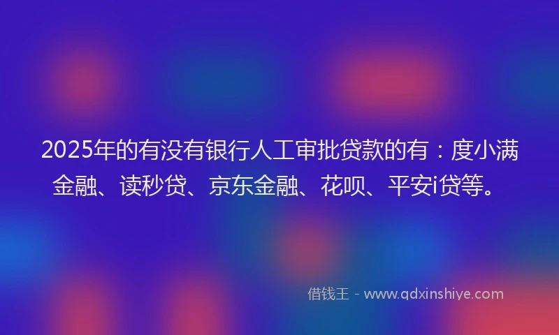 2025年的有没有银行人工审批贷款的有：度小满金融、读秒贷、京东金融、花呗、平安i贷等。