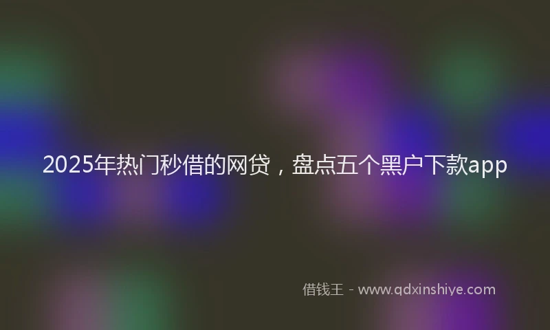 2025年热门秒借的网贷，盘点五个黑户下款app