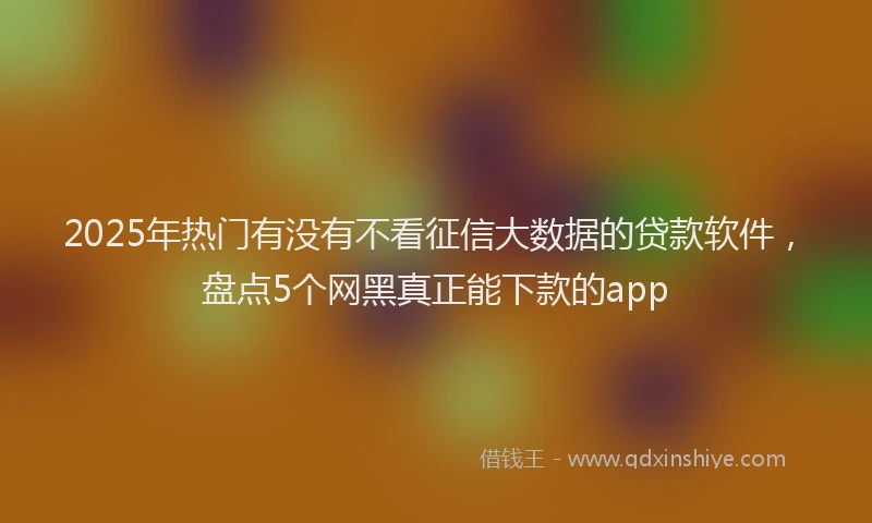 2025年热门有没有不看征信大数据的贷款软件，盘点5个网黑真正能下款的app