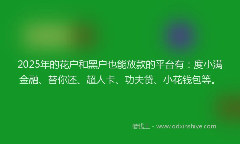 2025年的花户和黑户也能放款的平台有：度小满金融、替你还、超人卡、功夫贷、小花钱包等。