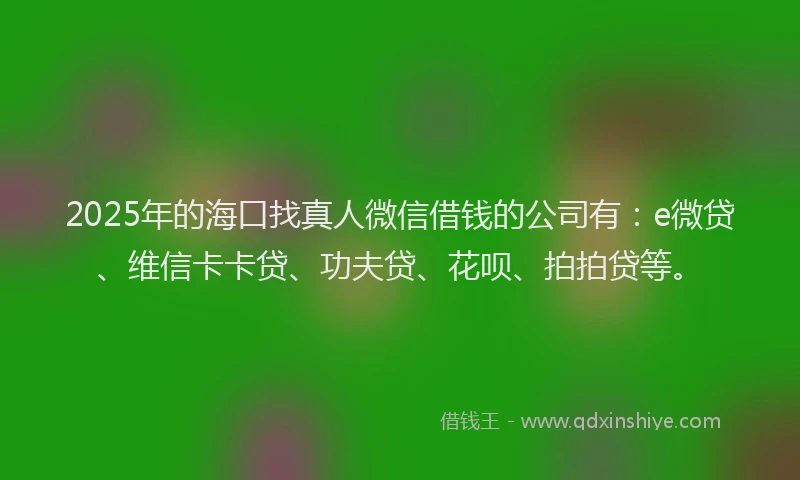 2025年的海口找真人微信借钱的公司有：e微贷、维信卡卡贷、功夫贷、花呗、拍拍贷等。