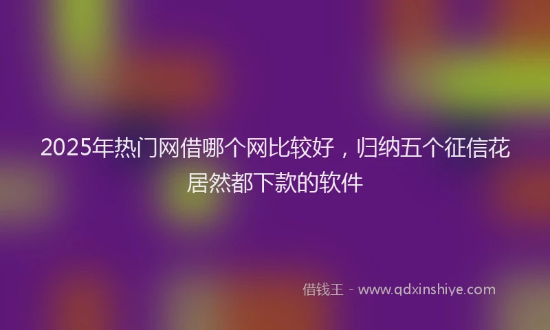 2025年热门网借哪个网比较好，归纳五个征信花居然都下款的软件