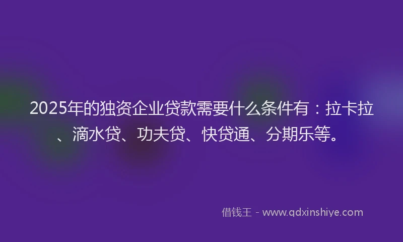 2025年的独资企业贷款需要什么条件有：拉卡拉、滴水贷、功夫贷、快贷通、分期乐等。