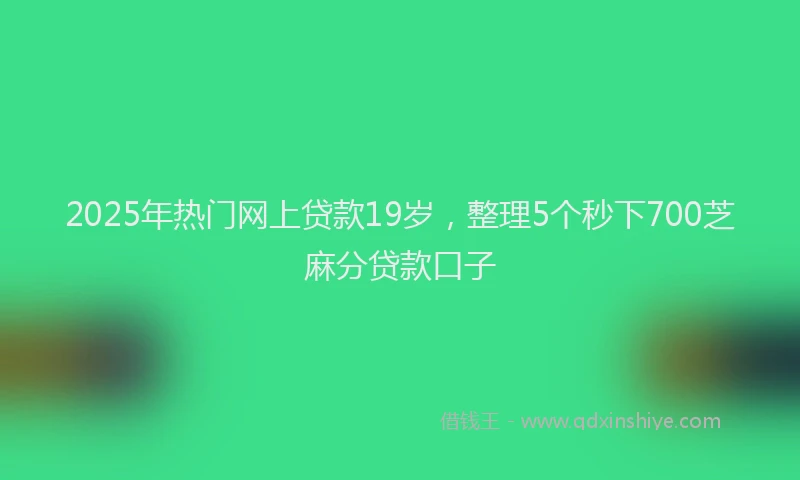 2025年热门网上贷款19岁，整理5个秒下700芝麻分贷款口子