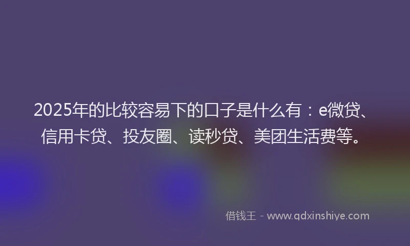 2025年的比较容易下的口子是什么有：e微贷、信用卡贷、投友圈、读秒贷、美团生活费等。