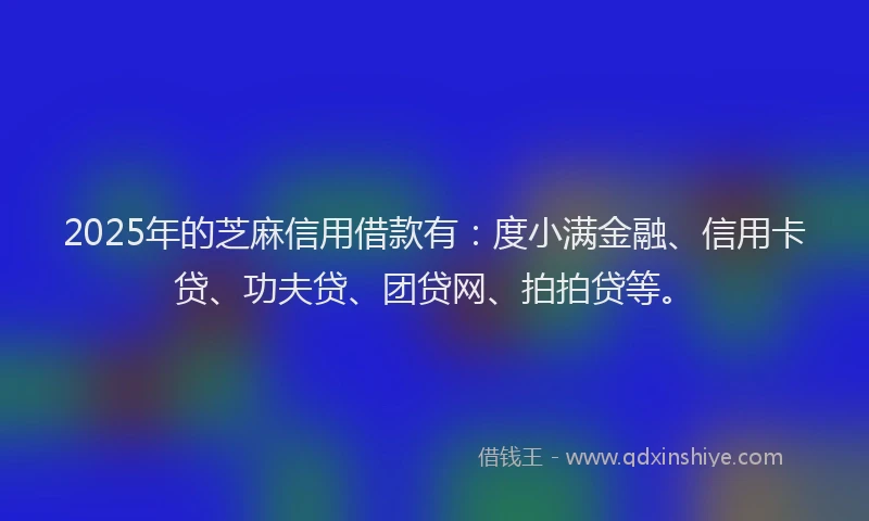 2025年的芝麻信用借款有：度小满金融、信用卡贷、功夫贷、团贷网、拍拍贷等。