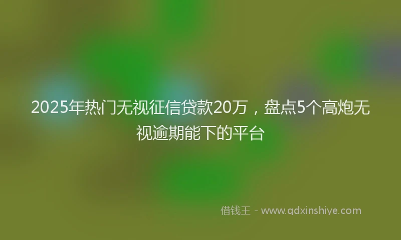 2025年热门无视征信贷款20万，盘点5个高炮无视逾期能下的平台
