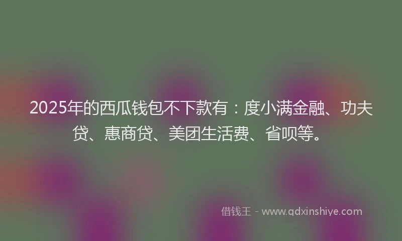 2025年的西瓜钱包不下款有：度小满金融、功夫贷、惠商贷、美团生活费、省呗等。