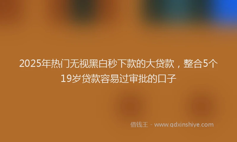 2025年热门无视黑白秒下款的大贷款，整合5个19岁贷款容易过审批的口子