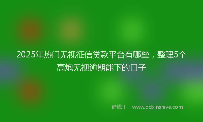 2025年热门无视征信贷款平台有哪些，整理5个高炮无视逾期能下的口子