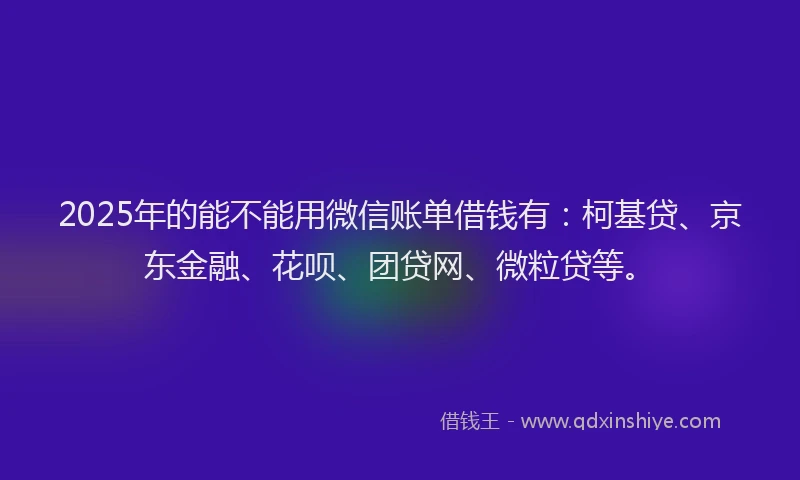 2025年的能不能用微信账单借钱有：柯基贷、京东金融、花呗、团贷网、微粒贷等。