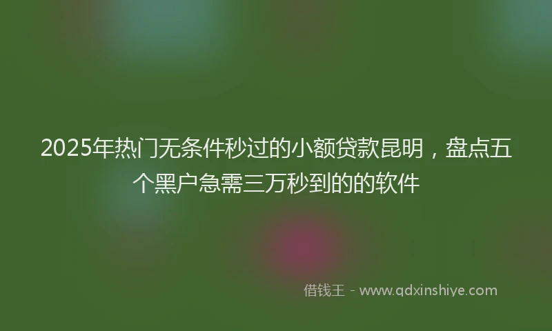 2025年热门无条件秒过的小额贷款昆明，盘点五个黑户急需三万秒到的的软件
