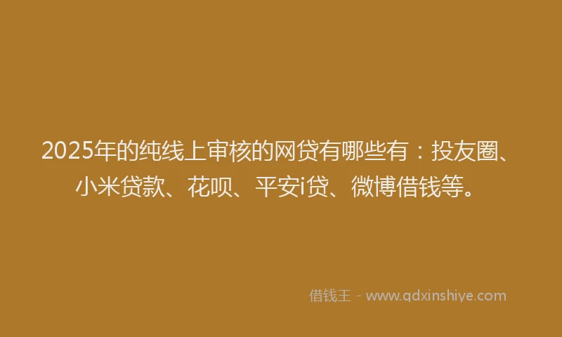 2025年的纯线上审核的网贷有哪些有：投友圈、小米贷款、花呗、平安i贷、微博借钱等。