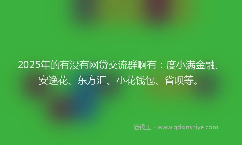 2025年的有没有网贷交流群啊有：度小满金融、安逸花、东方汇、小花钱包、省呗等。