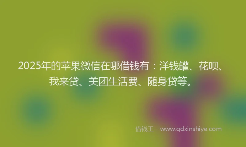 2025年的苹果微信在哪借钱有：洋钱罐、花呗、我来贷、美团生活费、随身贷等。