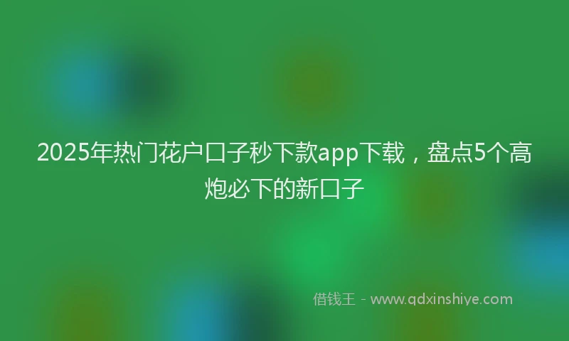 2025年热门花户口子秒下款app下载，盘点5个高炮必下的新口子