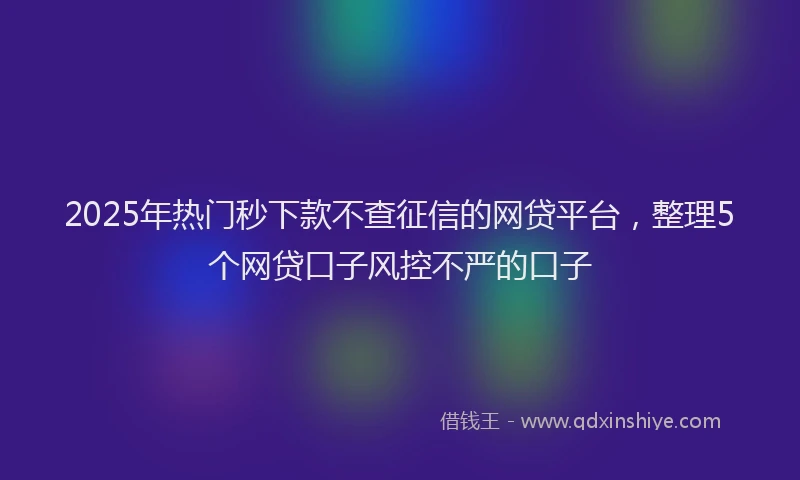 2025年热门秒下款不查征信的网贷平台，整理5个网贷口子风控不严的口子