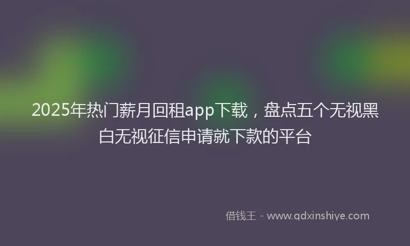 2025年热门薪月回租app下载，盘点五个无视黑白无视征信申请就下款的平台