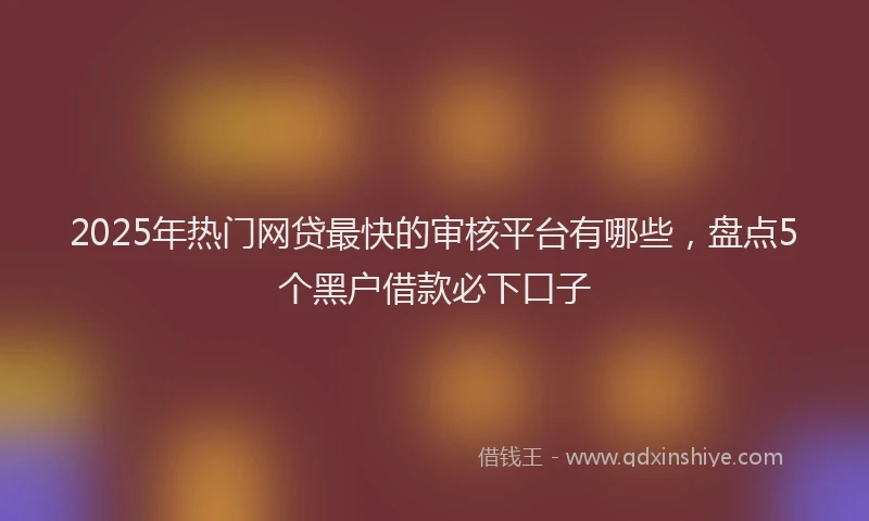 2025年热门网贷最快的审核平台有哪些，盘点5个黑户借款必下口子