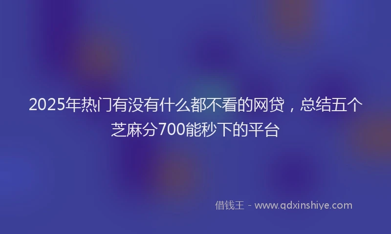 2025年热门有没有什么都不看的网贷，总结五个芝麻分700能秒下的平台