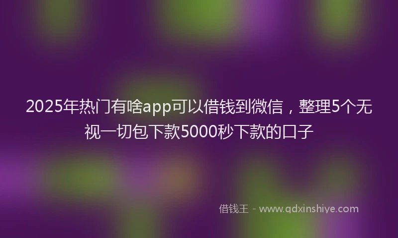 2025年热门有啥app可以借钱到微信，整理5个无视一切包下款5000秒下款的口子