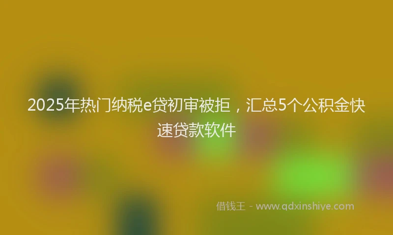 2025年热门纳税e贷初审被拒，汇总5个公积金快速贷款软件