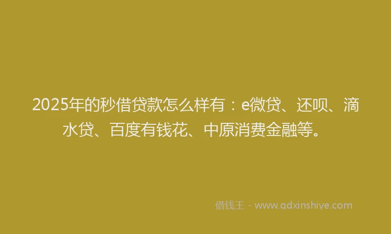 2025年的秒借贷款怎么样有：e微贷、还呗、滴水贷、百度有钱花、中原消费金融等。