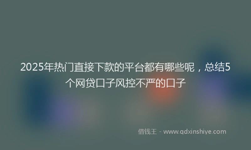 2025年热门直接下款的平台都有哪些呢，总结5个网贷口子风控不严的口子