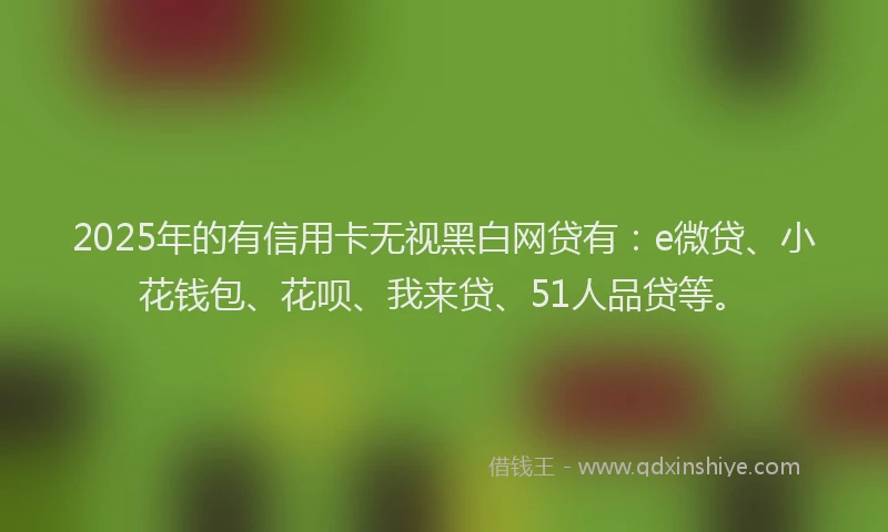2025年的有信用卡无视黑白网贷有：e微贷、小花钱包、花呗、我来贷、51人品贷等。