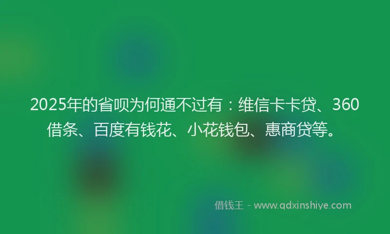 2025年的省呗为何通不过有：维信卡卡贷、360借条、百度有钱花、小花钱包、惠商贷等。