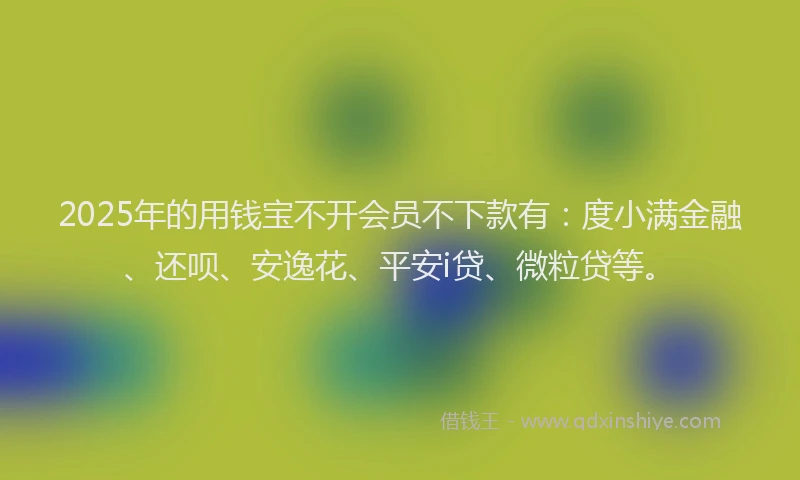 2025年的用钱宝不开会员不下款有：度小满金融、还呗、安逸花、平安i贷、微粒贷等。