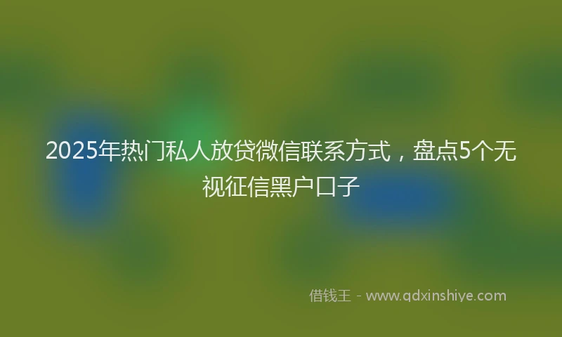 2025年热门私人放贷微信联系方式，盘点5个无视征信黑户口子