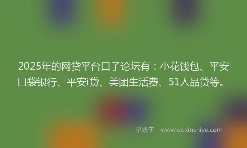 2025年的网贷平台口子论坛有：小花钱包、平安口袋银行、平安i贷、美团生活费、51人品贷等。