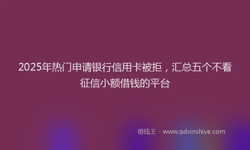 2025年热门申请银行信用卡被拒，汇总五个不看征信小额借钱的平台