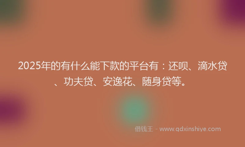 2025年的有什么能下款的平台有：还呗、滴水贷、功夫贷、安逸花、随身贷等。