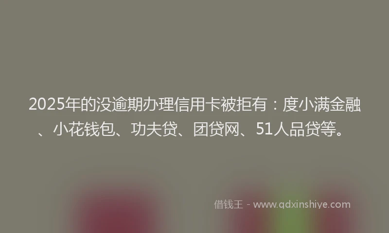 2025年的没逾期办理信用卡被拒有：度小满金融、小花钱包、功夫贷、团贷网、51人品贷等。