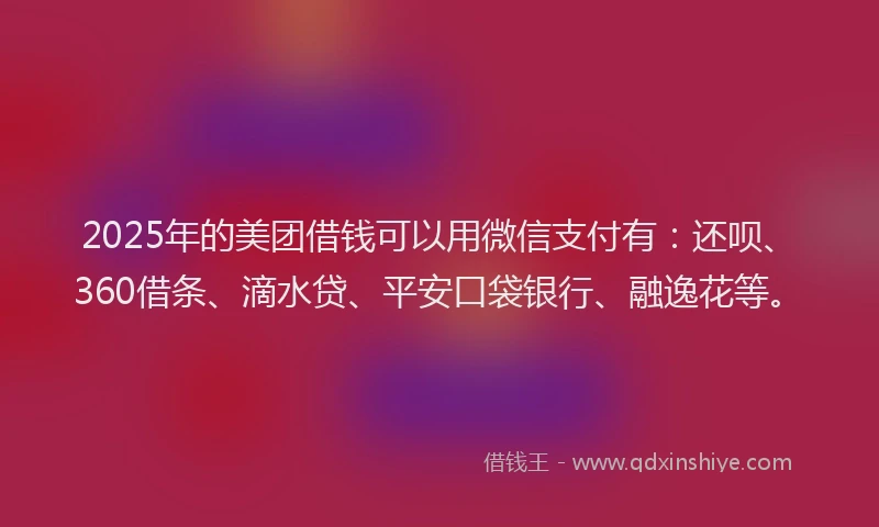 2025年的美团借钱可以用微信支付有：还呗、360借条、滴水贷、平安口袋银行、融逸花等。