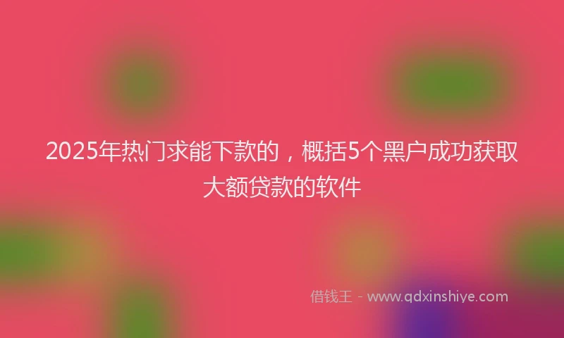 2025年热门求能下款的，概括5个黑户成功获取大额贷款的软件